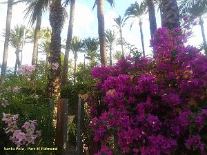 41 SANTA POLA ANTIQUE MUSEE (90)